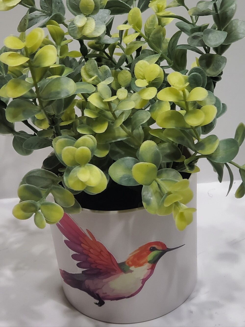 Light Up Plant - Picture 10 of 16